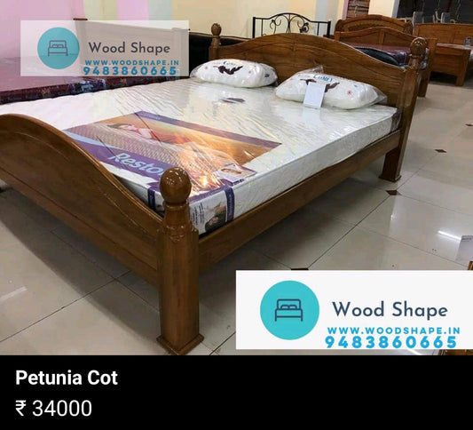 Petunia Bed